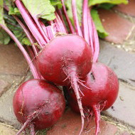 <strong>Bieten</strong>